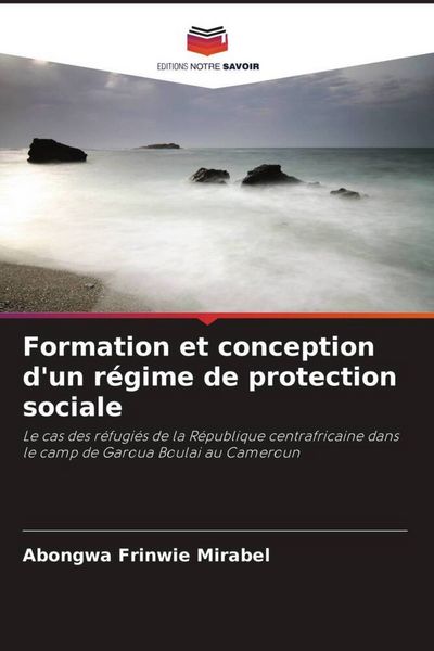 Produktbild: Formation et conception d'un r&eacute;gime de protection sociale