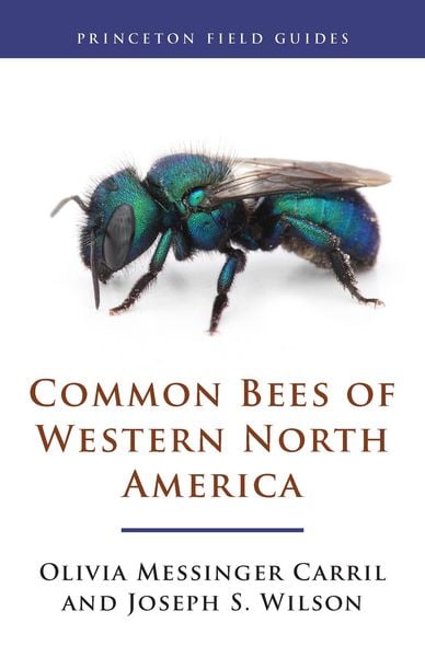 Produktbild: Common Bees of Western North America