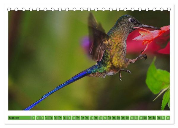 Produktbild: Kolibris; Anmut, Sch&ouml;nheit, Farben (Tischkalender 2026 DIN A5 quer), CALVENDO Monatskalender