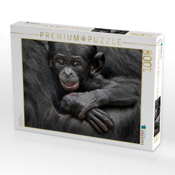 Produktbild: CALVENDO Puzzle Bonobo XEKELE | 1000 Teile Lege-Gr&ouml;&szlig;e 64x48cm Foto-Puzzle f&uuml;r gl&uuml;ckliche Stunden
