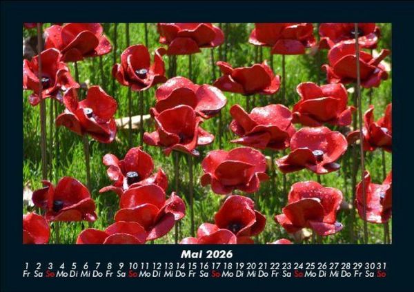 Produktbild: Blumenkalender 2026 Fotokalender DIN A5