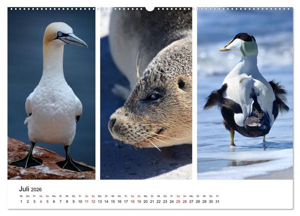 Produktbild: Mitreisekalender 2026 Helgoland (hochwertiger Premium Wandkalender 2026 DIN A2 quer), Kunstdruck in Hochglanz