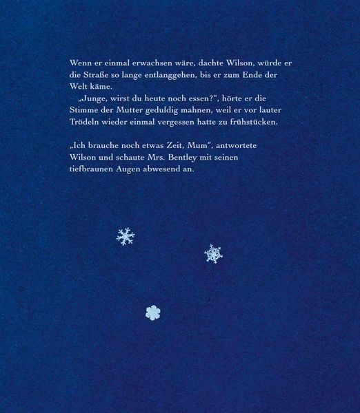 Produktbild: Der Schneeflockensammler