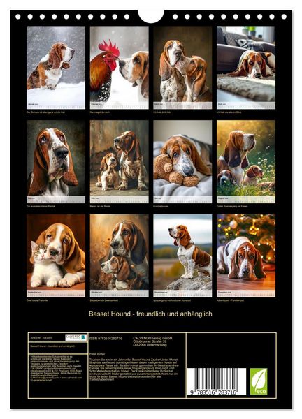 Produktbild: Basset Hound - freundlich und anh&auml;nglich (Wandkalender 2026 DIN A4 hoch), CALVENDO Monatskalender