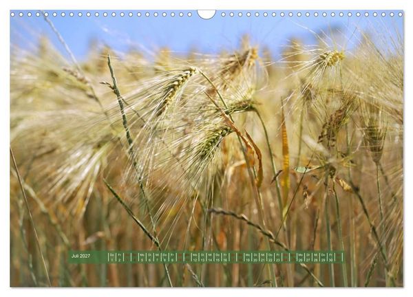 Produktbild: Feldansichten (Wandkalender 2027 DIN A3 quer), CALVENDO Monatskalender