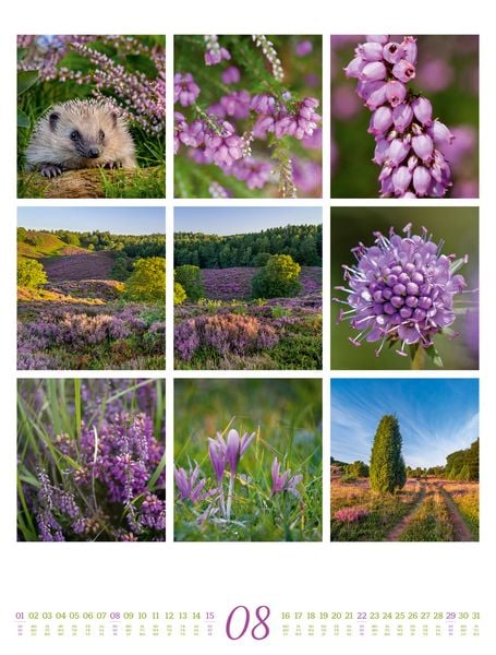 Produktbild: Inspiration Natur Kalender 2027