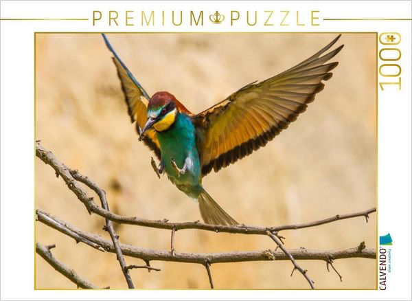 Produktbild: CALVENDO Puzzle Bienenfresser | 1000 Teile Lege-Gr&ouml;&szlig;e 64x48cm Foto-Puzzle f&uuml;r gl&uuml;ckliche Stunden