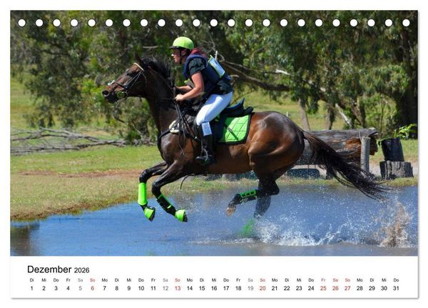 Produktbild: Vielseitigkeitsreiten (Tischkalender 2026 DIN A5 quer), CALVENDO Monatskalender