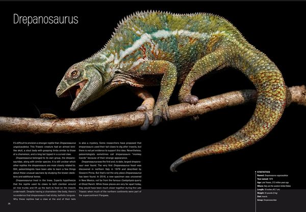 Produktbild: Dinosaurs
