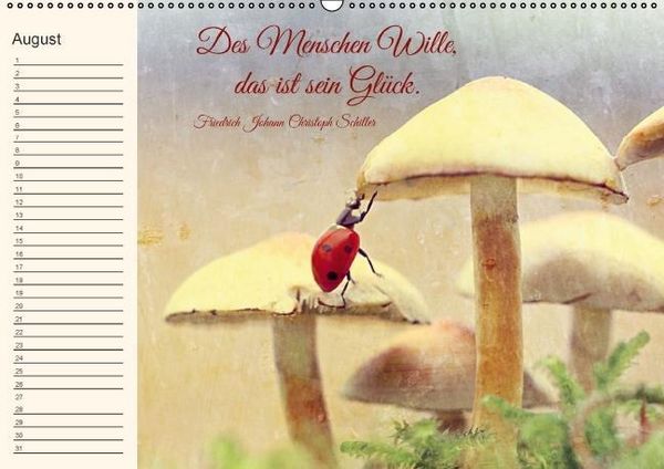 Produktbild: Spruchreifer Geburtstagskalender (Wandkalender immerw&auml;hrend DIN A2 quer)
