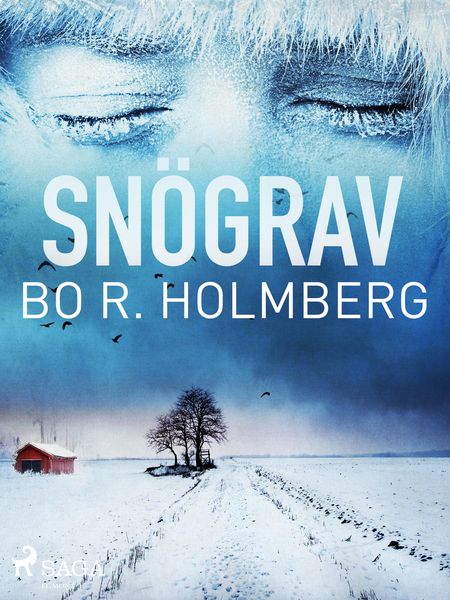Produktbild: Sn&ouml;grav