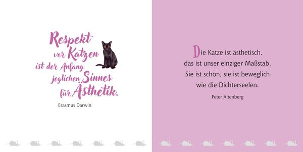 Produktbild: Katzen