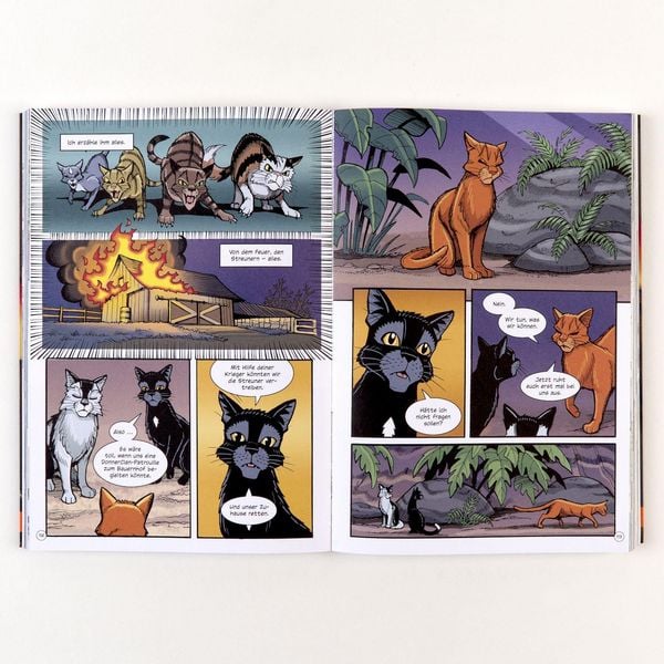 Produktbild: Warrior Cats - Rabenpfotes Weg