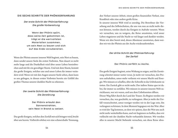 Die Phönixerfahrung