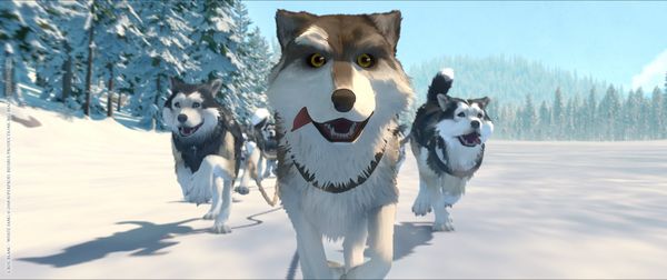 Produktbild: Die Abenteuer von Wolfsblut