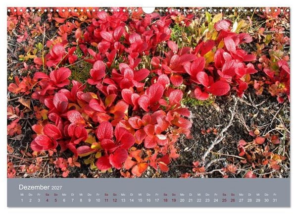 Produktbild: Kamtschatka - Vulkane, Asche, Eis (Wandkalender 2027 DIN A3 quer), CALVENDO Monatskalender