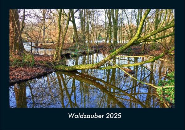 Produktbild: Waldzauber 2025 Fotokalender DIN A4