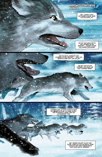 Produktbild: Wolverine - Neustart