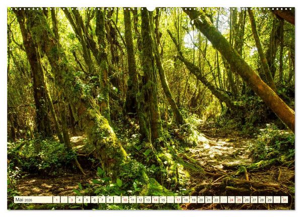 Produktbild: Unterwegs in Malaysia (hochwertiger Premium Wandkalender 2026 DIN A2 quer), Kunstdruck in Hochglanz