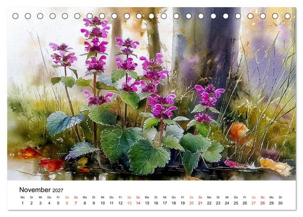 Produktbild: Wildblumen zwischen Moos und Farn (Tischkalender 2027 DIN A5 quer), CALVENDO Monatskalender