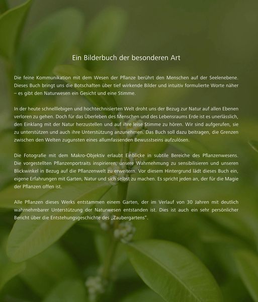 Produktbild: Imaginationen