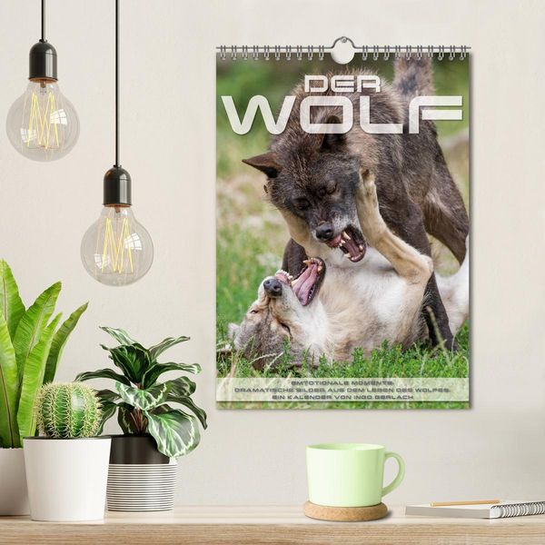 Produktbild: Emotionale Momente: Der Wolf. (Wandkalender 2026 DIN A4 hoch), CALVENDO Monatskalender