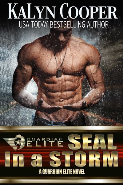 Produktbild: SEAL in a Storm (Silver SEALs, #5)