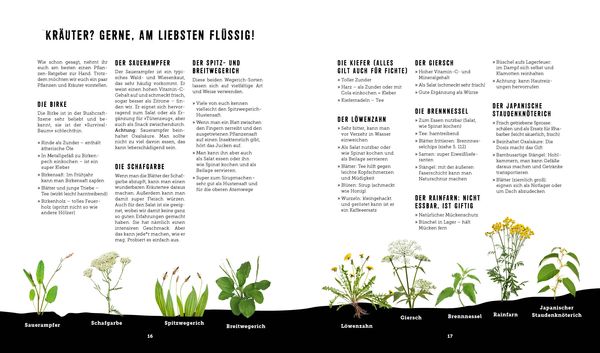 Produktbild: Outdoor Kochen &ndash; Ohne Strom und ohne Schnickschnack mit den Naturens&ouml;hnen