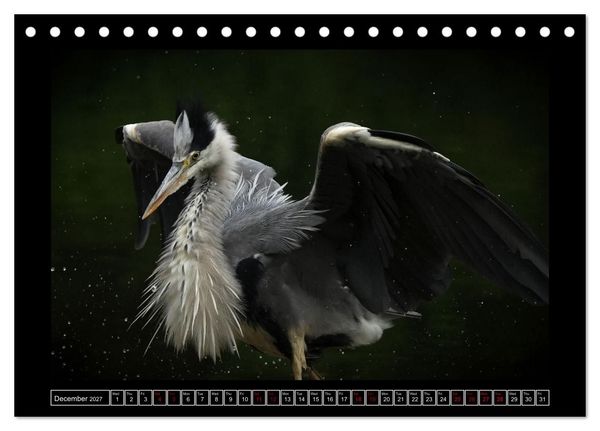Produktbild: The heron parade (Desk Calendar 2027 DIN A5 landscape), CALVENDO 12 Month DeskCalendar