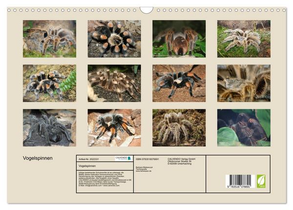 Produktbild: Vogelspinnen (Wandkalender 2026 DIN A3 quer), CALVENDO Monatskalender