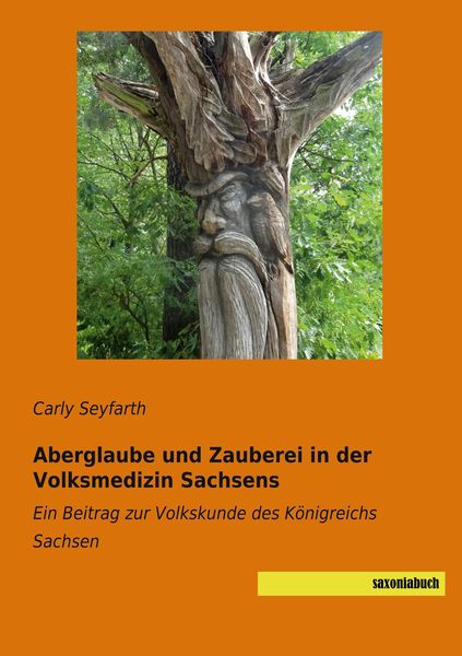 Produktbild: Aberglaube und Zauberei in der Volksmedizin Sachsens