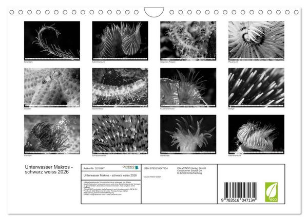 Produktbild: Unterwasser Makros - schwarz weiss 2026 (Wandkalender 2026 DIN A4 quer), CALVENDO Monatskalender