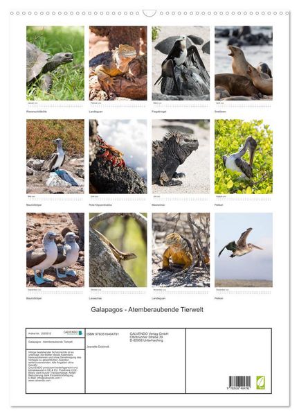 Produktbild: Galapagos - Atemberaubende Tierwelt (Wandkalender 2026 DIN A2 hoch), CALVENDO Monatskalender