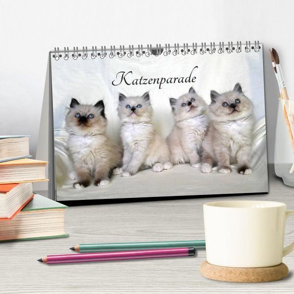 Produktbild: Katzenparade (Tischkalender 2026 DIN A5 quer), CALVENDO Monatskalender