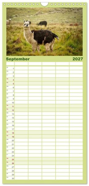 Produktbild: Familienplaner 2027 - Unter Lamas und Alpakas mit 5 Spalten (Wandkalender, 21 x 45 cm) CALVENDO