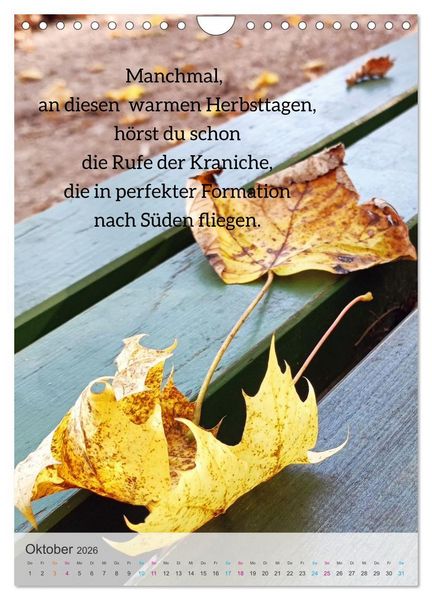 Produktbild: Manchmal - Poetische Momentaufnahmen (Wandkalender 2026 DIN A4 hoch), CALVENDO Monatskalender