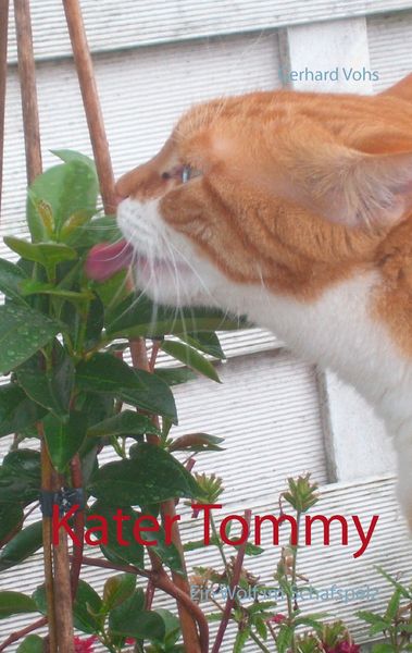 Produktbild: Kater Tommy
