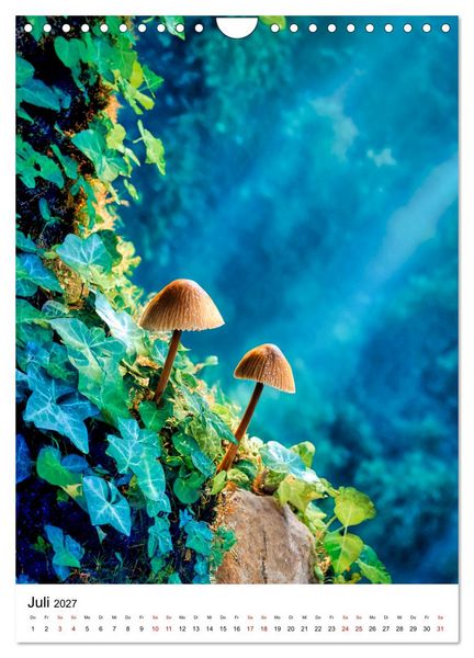 Produktbild: Pilzzeit - Leben auf dem Waldboden (Wandkalender 2027 DIN A4 hoch), CALVENDO Monatskalender