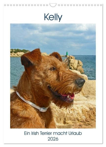 Kelly - Ein Irish Terrier macht Urlaub (Wandkalender 2026 DIN A3 hoch), CALVENDO Monatskalender