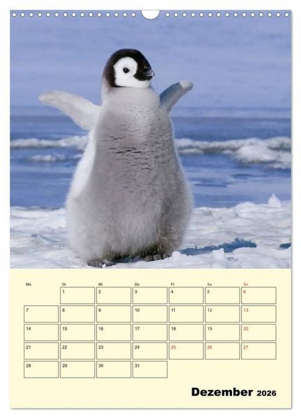 Produktbild: Pinguine. Wackeln im Thermo-Frack (Wandkalender 2026 DIN A3 hoch), CALVENDO Monatskalender