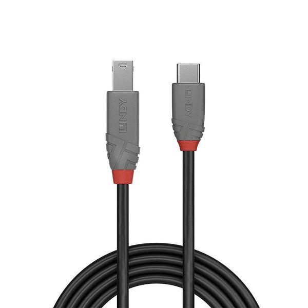 Produktbild: LINDY USB-Kabel USB 3.2 Gen1 USB-C&reg; Stecker, USB-B Stecker 2.00m Schwarz 36667