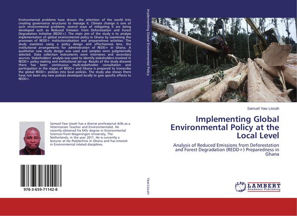 Produktbild: Implementing Global Environmental Policy at the Local Level