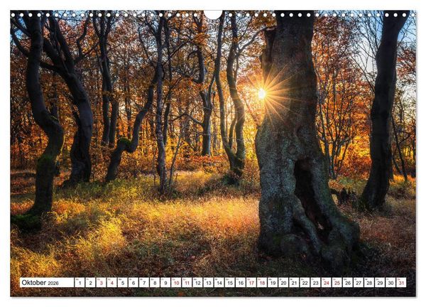Produktbild: Sonnige Augenblicke (Wandkalender 2026 DIN A3 quer), CALVENDO Monatskalender
