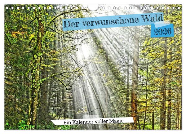 Produktbild: Verwunschene Waldtr&auml;ume: Ein Kalender voller Magie (Wandkalender 2026 DIN A4 quer), CALVENDO Monatskalender