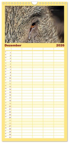 Produktbild: Familienplaner 2026 - Der Schweinekalender mit 5 Spalten (Wandkalender, 21 x 45 cm) CALVENDO