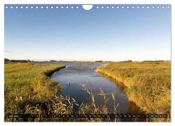 Produktbild: Pellworm 2026 (Wandkalender 2026 DIN A4 quer), CALVENDO Monatskalender