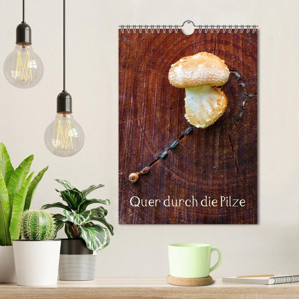 Produktbild: Quer durch die Pilze (Wandkalender 2026 DIN A4 hoch), CALVENDO Monatskalender