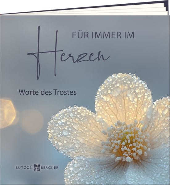Produktbild: F&uuml;r immer im Herzen