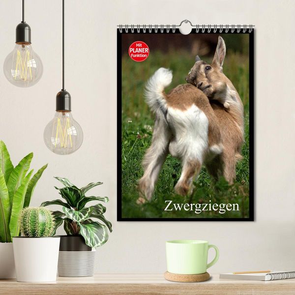Produktbild: Zwergziegen (Wandkalender 2026 DIN A4 hoch), CALVENDO Monatskalender