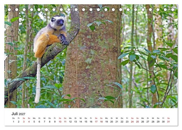 Produktbild: Blickpunkte auf Madagaskar (Tischkalender 2027 DIN A5 quer), CALVENDO Monatskalender